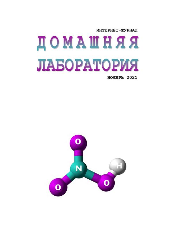 Обложка журнала Домашняя лаборатория 11, Ноябрь 2021