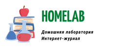 HomeLab Logo